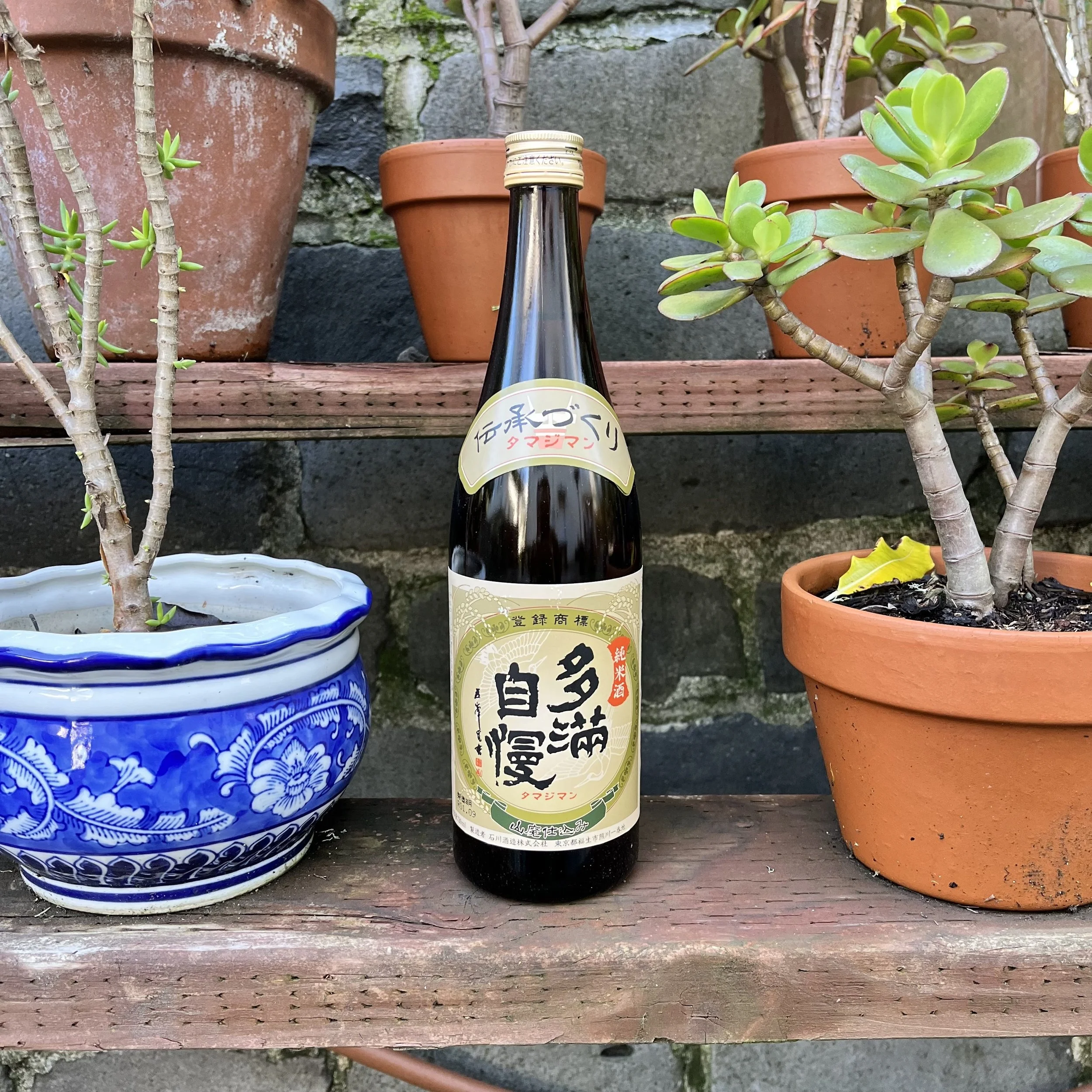 Kikumasamune Kinushiro Junmai Nigori (500ml) — Kenshin Sake